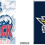 Hartford Wolf Pack Springfield Thunderbirds
