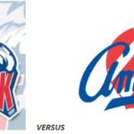 HARTFORD WOLF PACK VS ROCHESTER AMERICANS