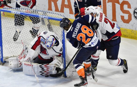 HARTFORD WOLF PACK ADVANCE IN PLAYOFFS