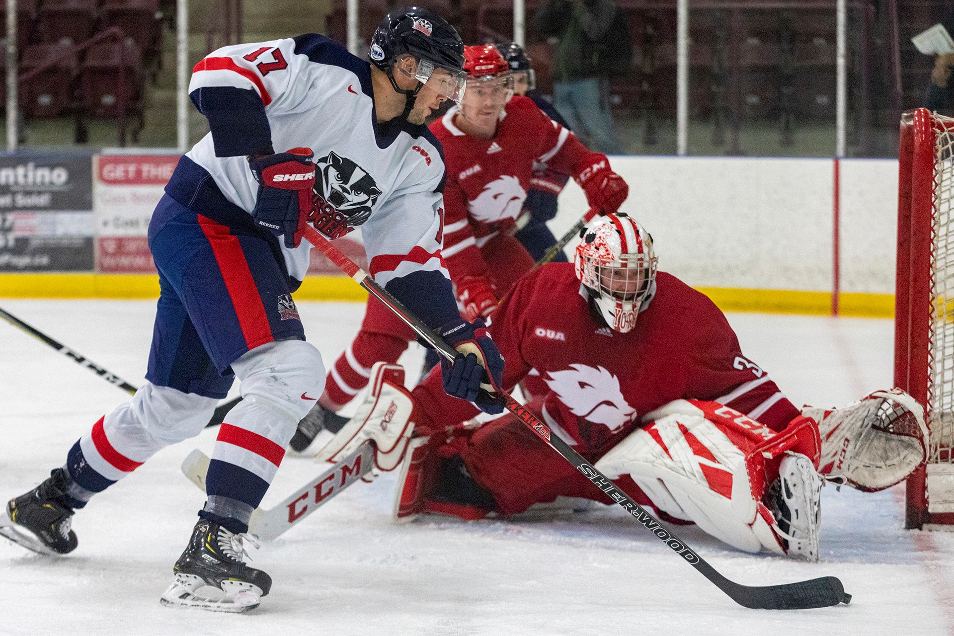 Hartford Wolf Pack Sweep Springfield Thunderbirds - Howlings