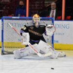 hockey Goalie