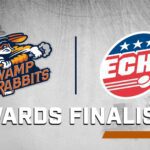 Greenville Swamp Rabbits