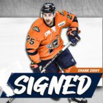 Chase Zieky Greenville Swamp Rabbits