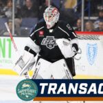 David Hrenak Greenville Swamp Rabbits