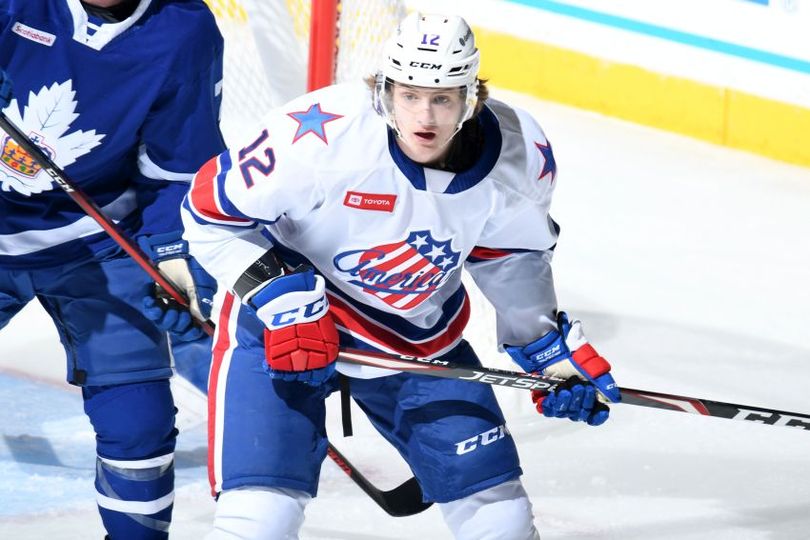 Matej Pekar Hartford Wolf Pack