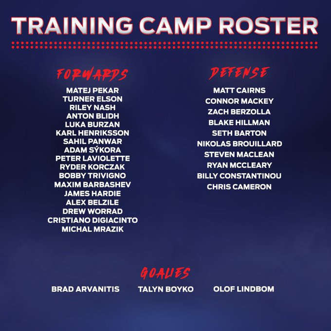 Hartford Wolf Pack Training Roster