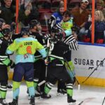 Greenvile Swamp Rabbits