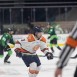 Greenville Swamp Rabbits