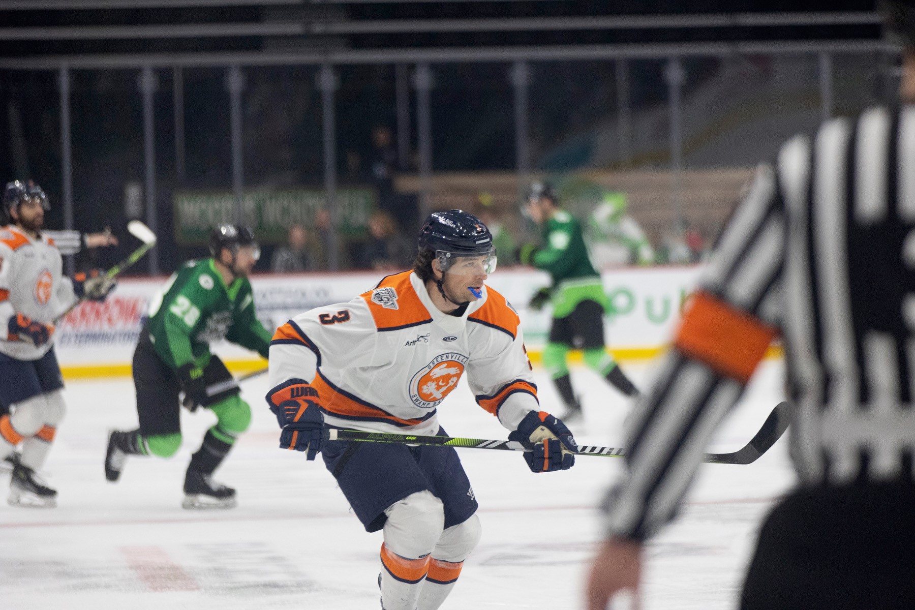 Greenville Swamp Rabbits