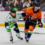 Greenville Swamp Rabbits