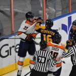 Greenville Swamp Rabbits