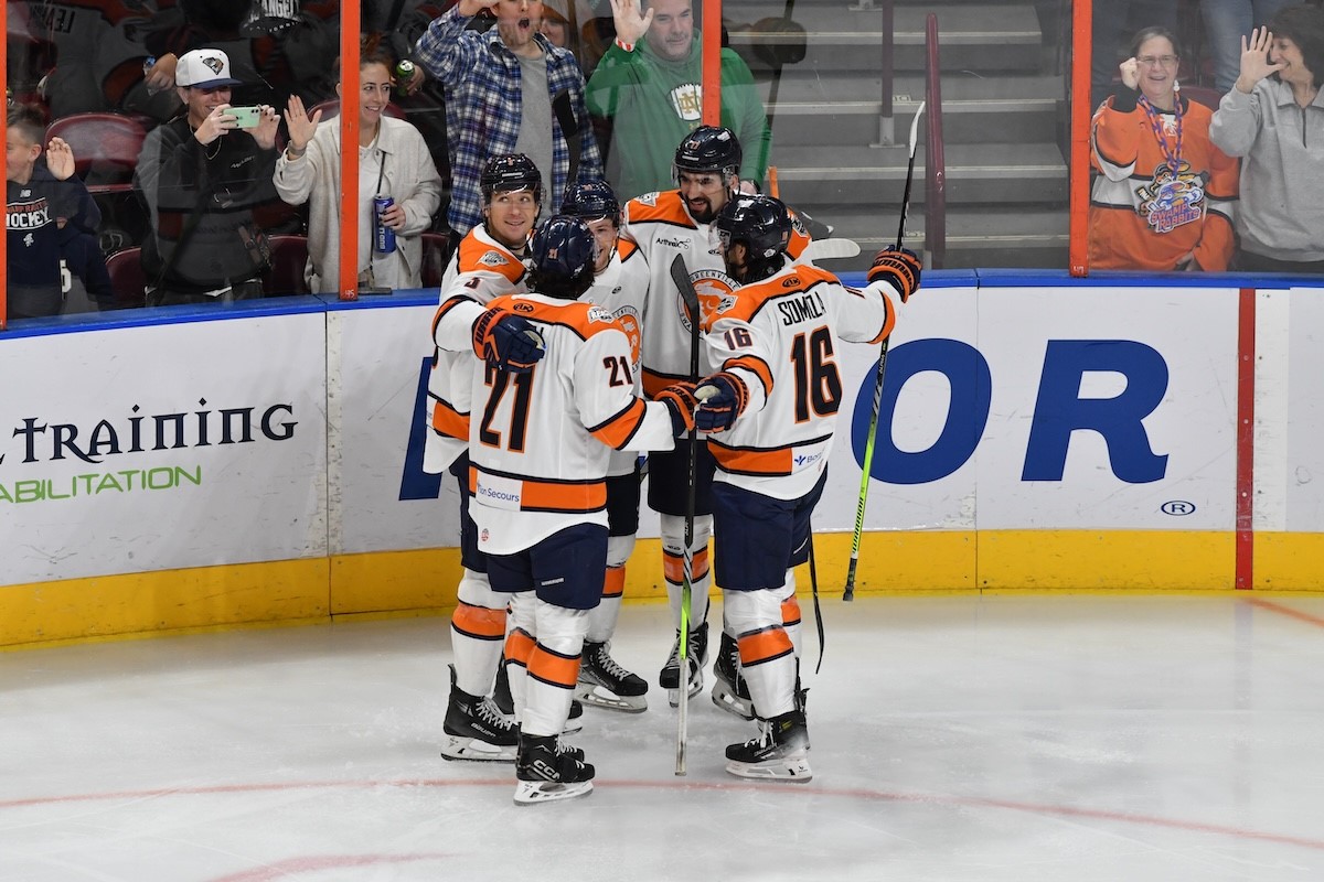 Greenville Swamp Rabbits