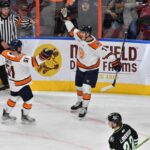Greenville Swamp Rabbits