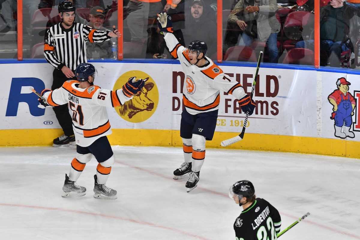 Greenville Swamp Rabbits