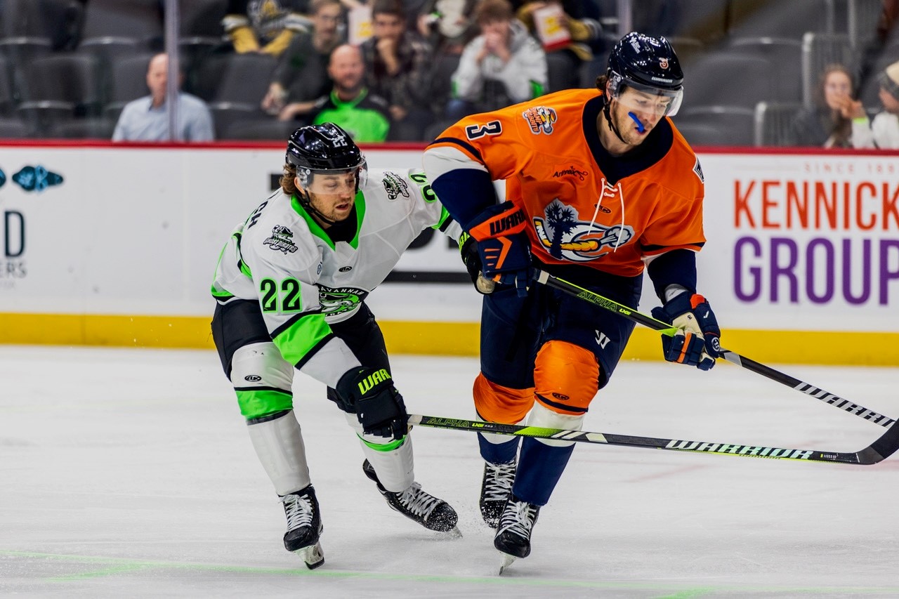 Greenville Swamp Rabbits
