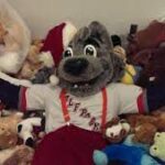 Hartford Wolf Pack Teddy Bear Toss