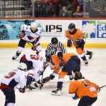 GREENVILLE SWAMP RABBITS