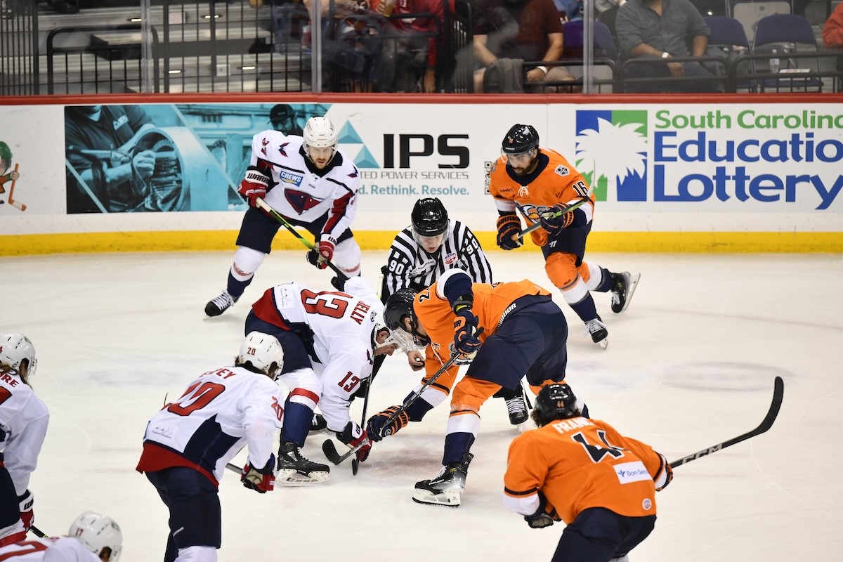 GREENVILLE SWAMP RABBITS