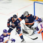 Greenville Swamp Rabbits