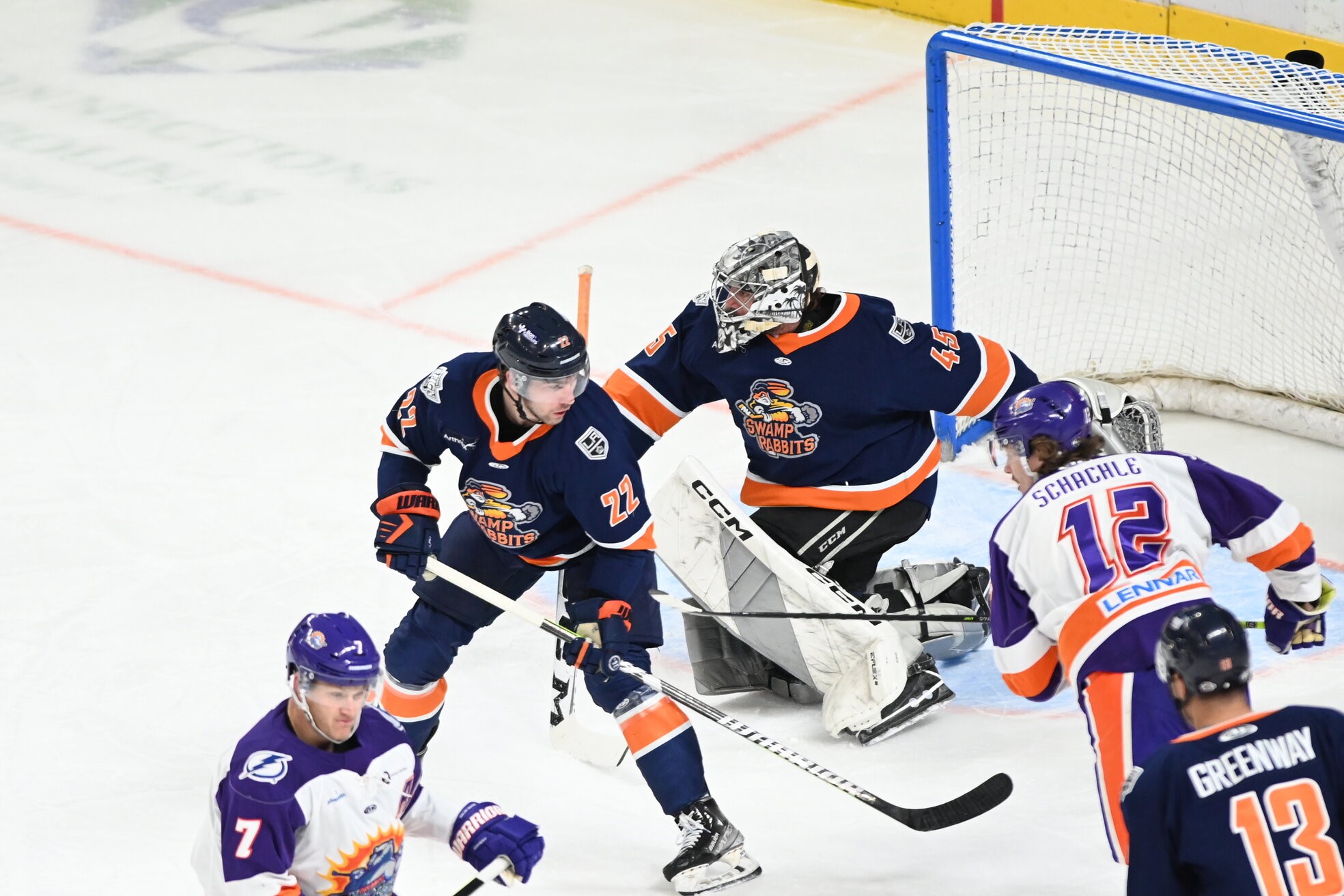 Greenville Swamp Rabbits