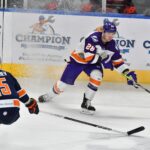 GREENVILLE SWAMP RABBITS