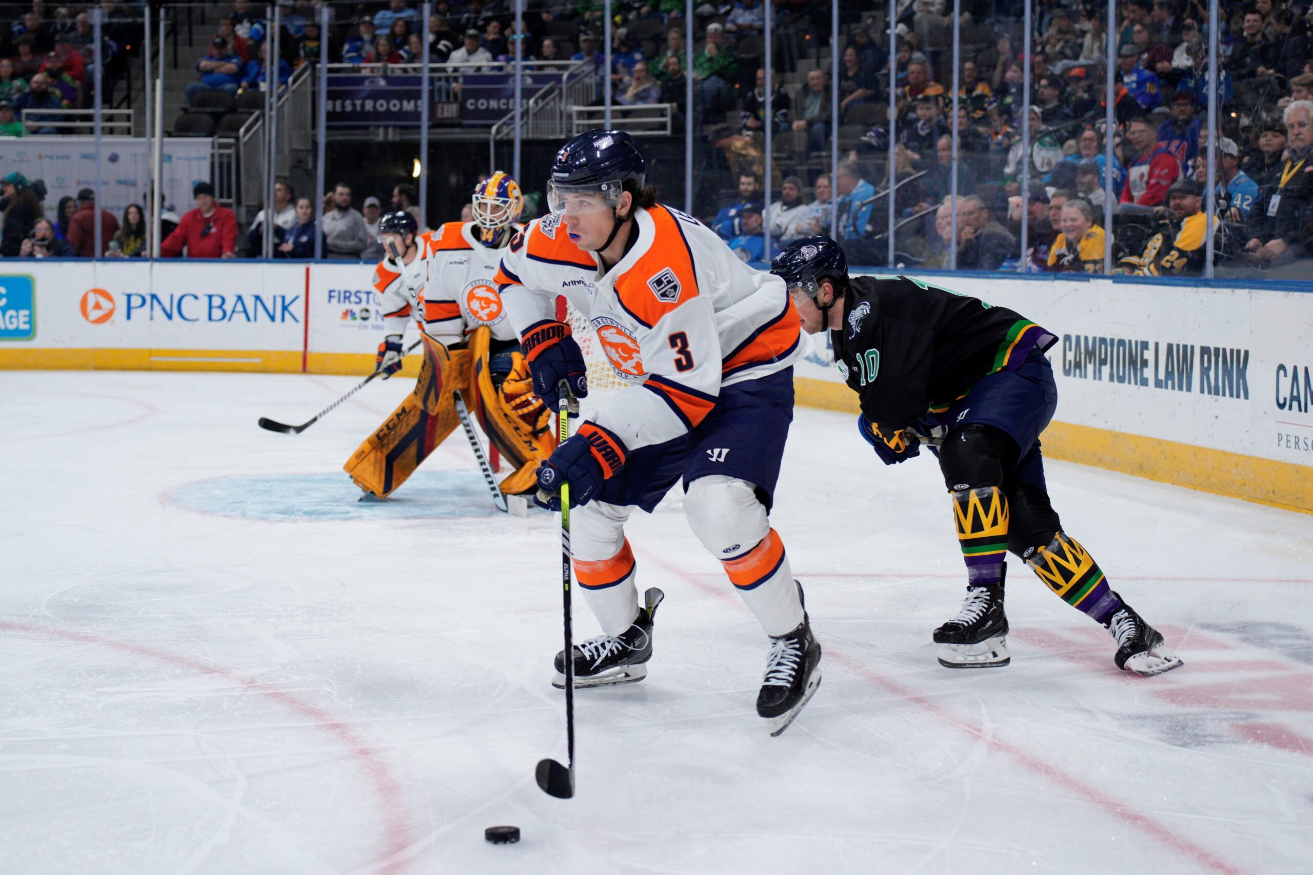 Greenville Swamp Rabbits