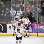 Greenville Swamp Rabbits