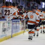 Greenville Swamp Rabbits