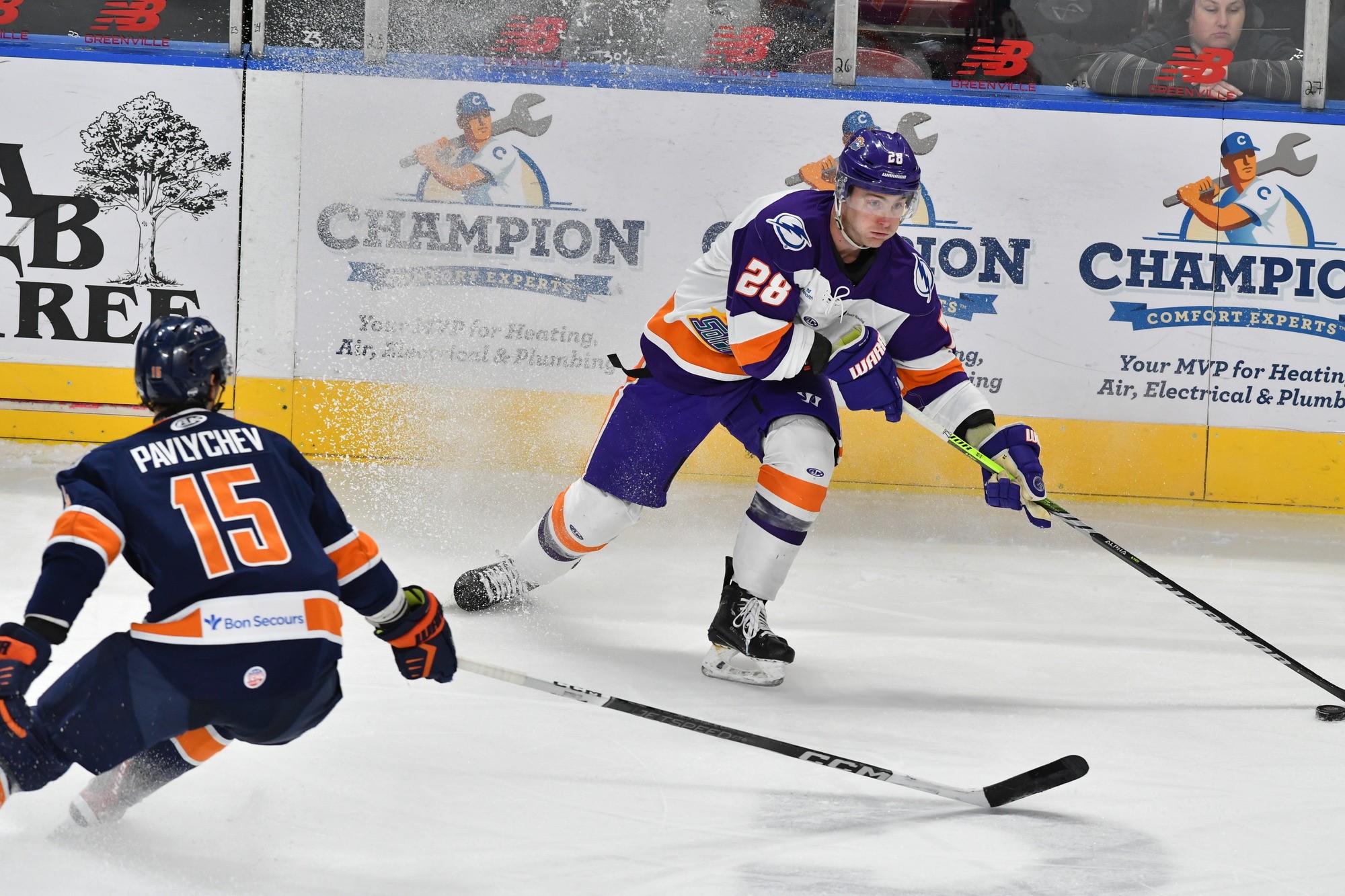 GREENVILLE SWAMP RABBITS