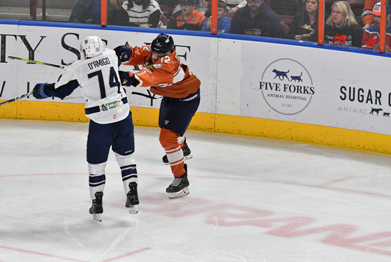Greenville Swamp Rabbits