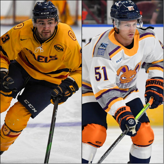 Greenville Swamp Rabbits