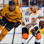 Greenville Swamp Rabbits