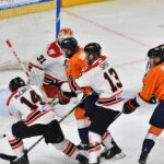 Greenville Swamp Rabbits
