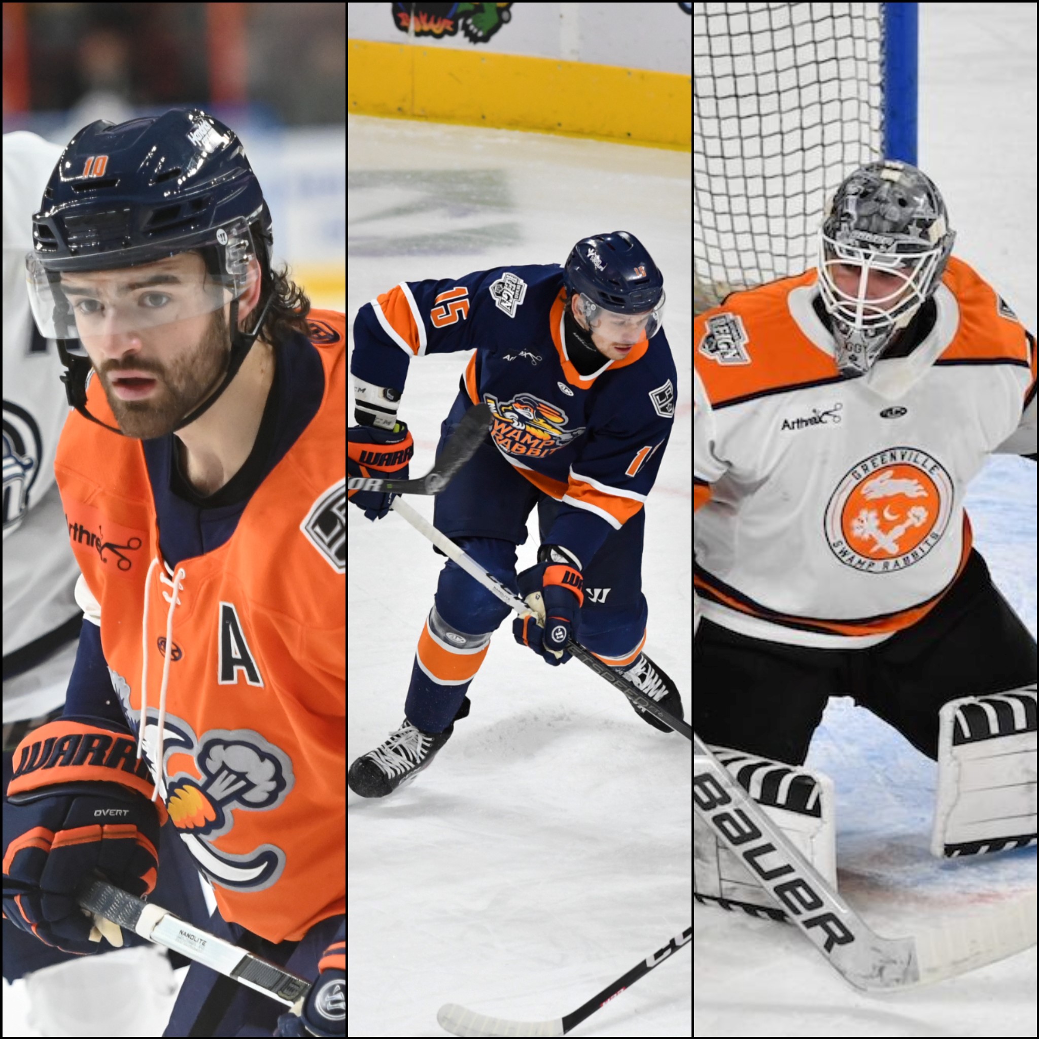Greenville Swamp Rabbits