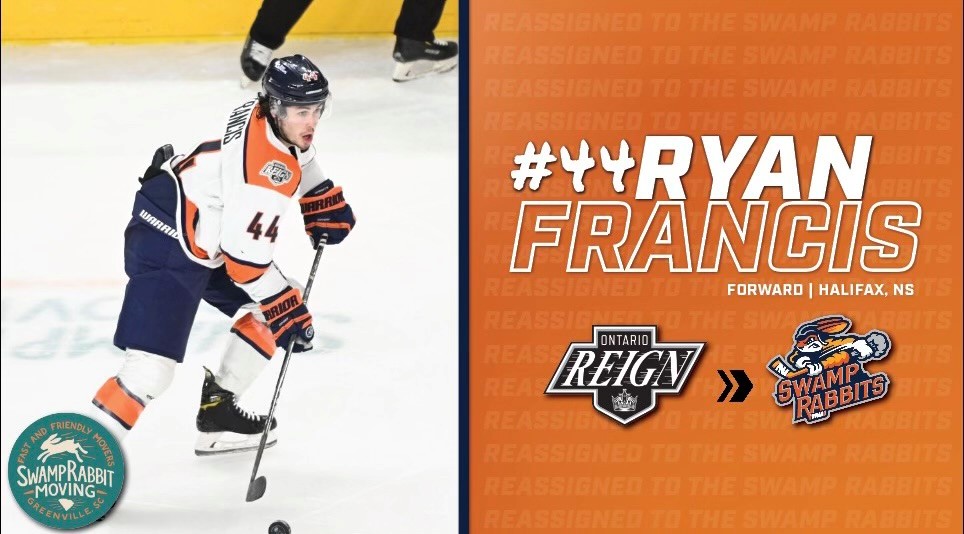 Greenville Swamp Rabbits