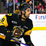 Hartford Wolf Pack