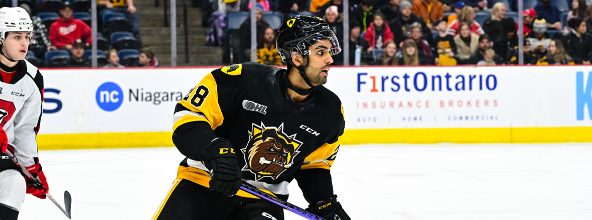 Hartford Wolf Pack