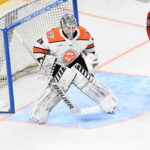 Jacob Ingham Greenville Swamp Rabbits