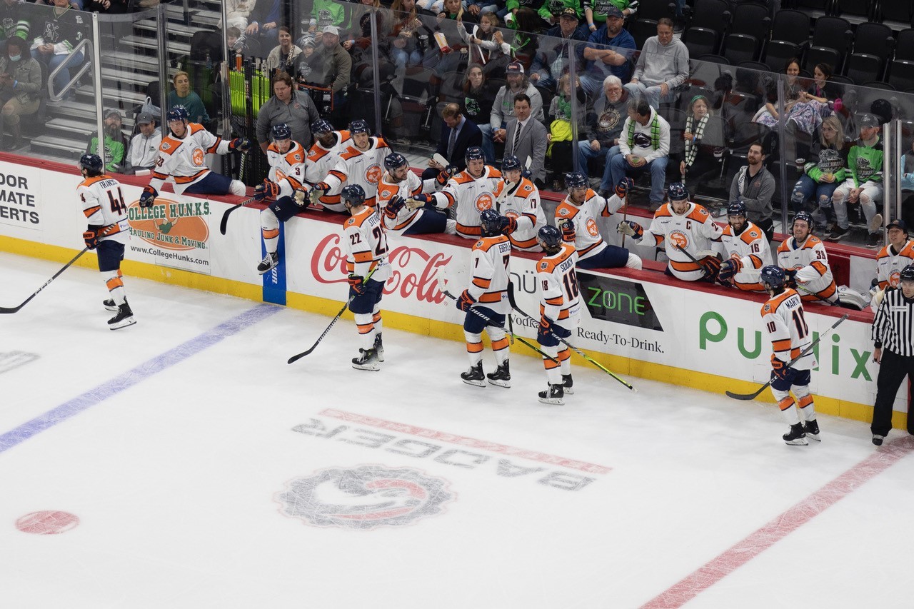 Swamp Rabbits