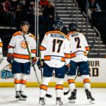 SWAMP RABBITS