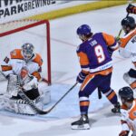 Swamp Rabbits
