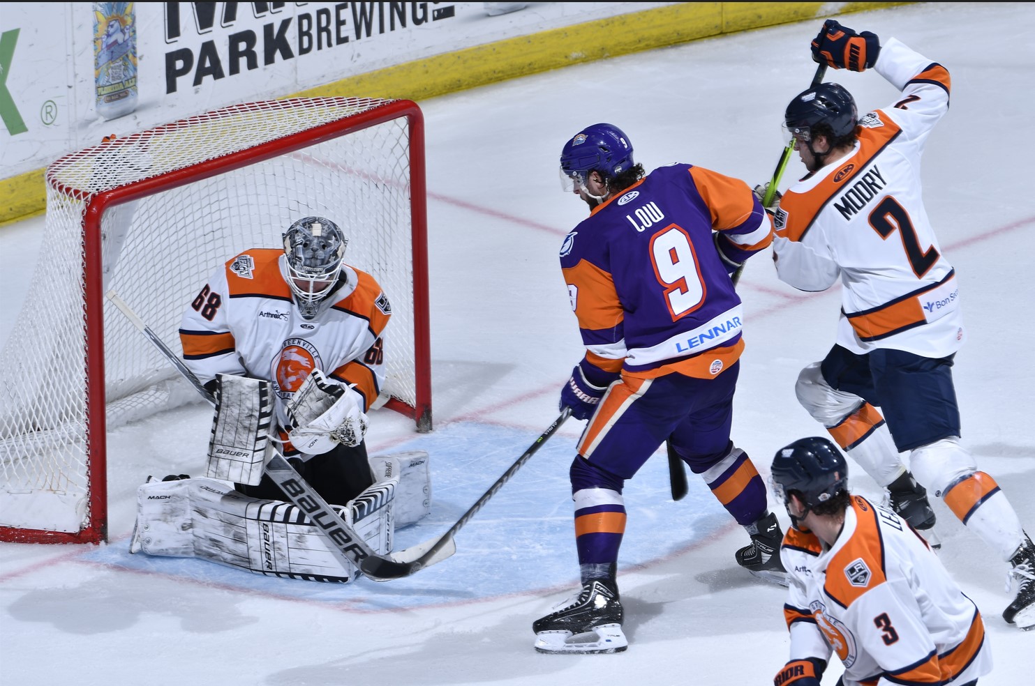 Swamp Rabbits