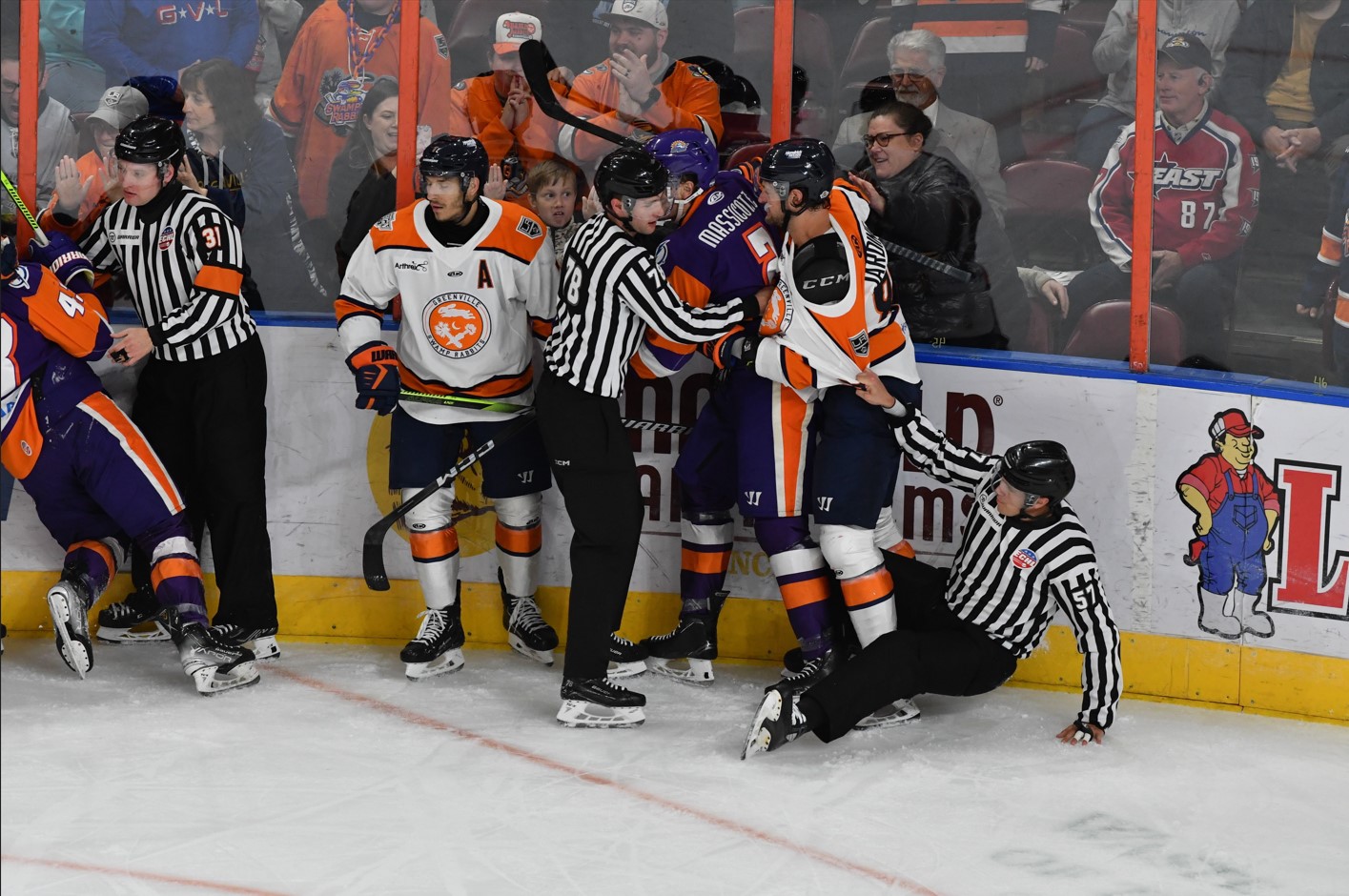 Greenville Swamp Rabbits