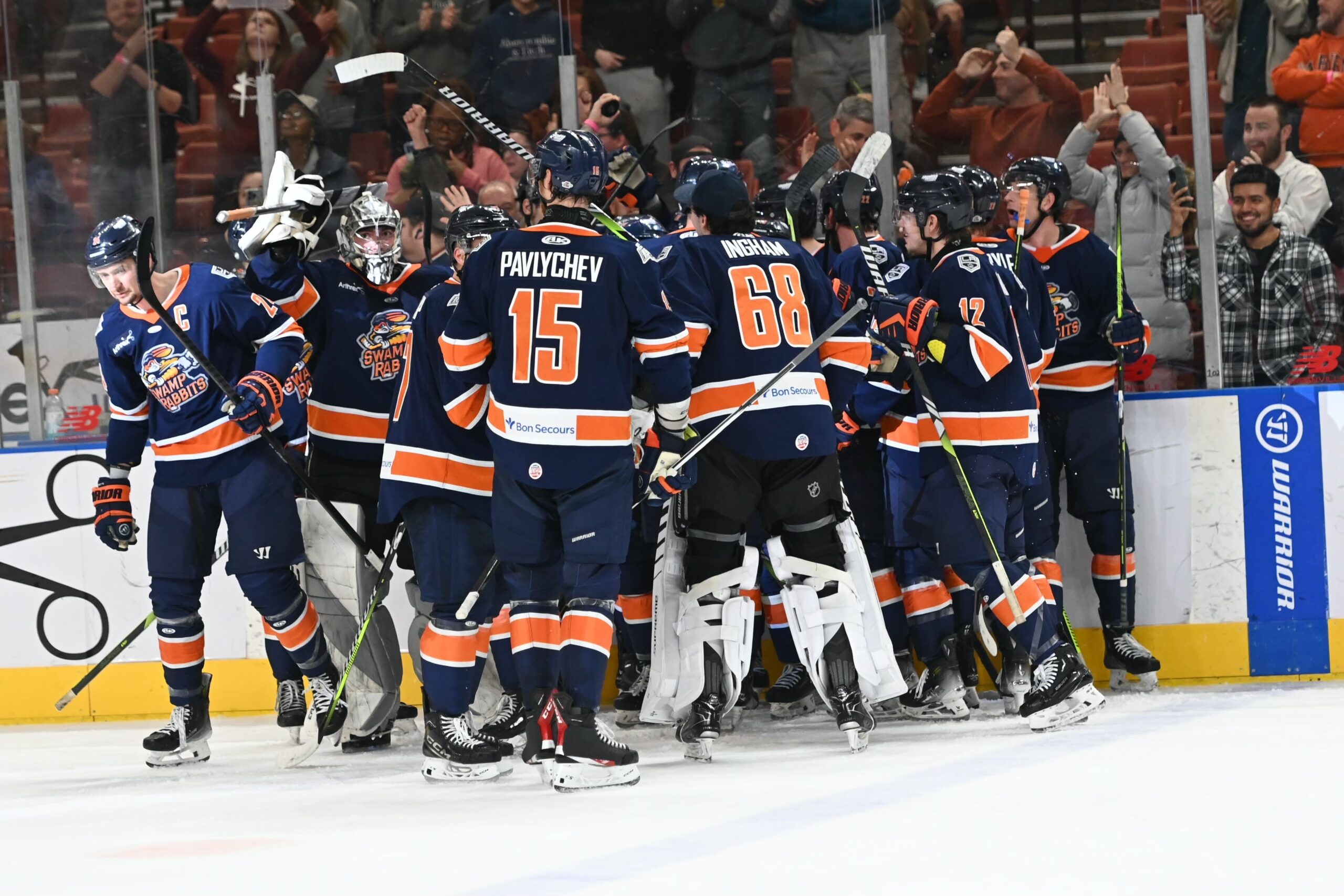 Swamp Rabbits