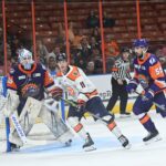 Swamp Rabbits