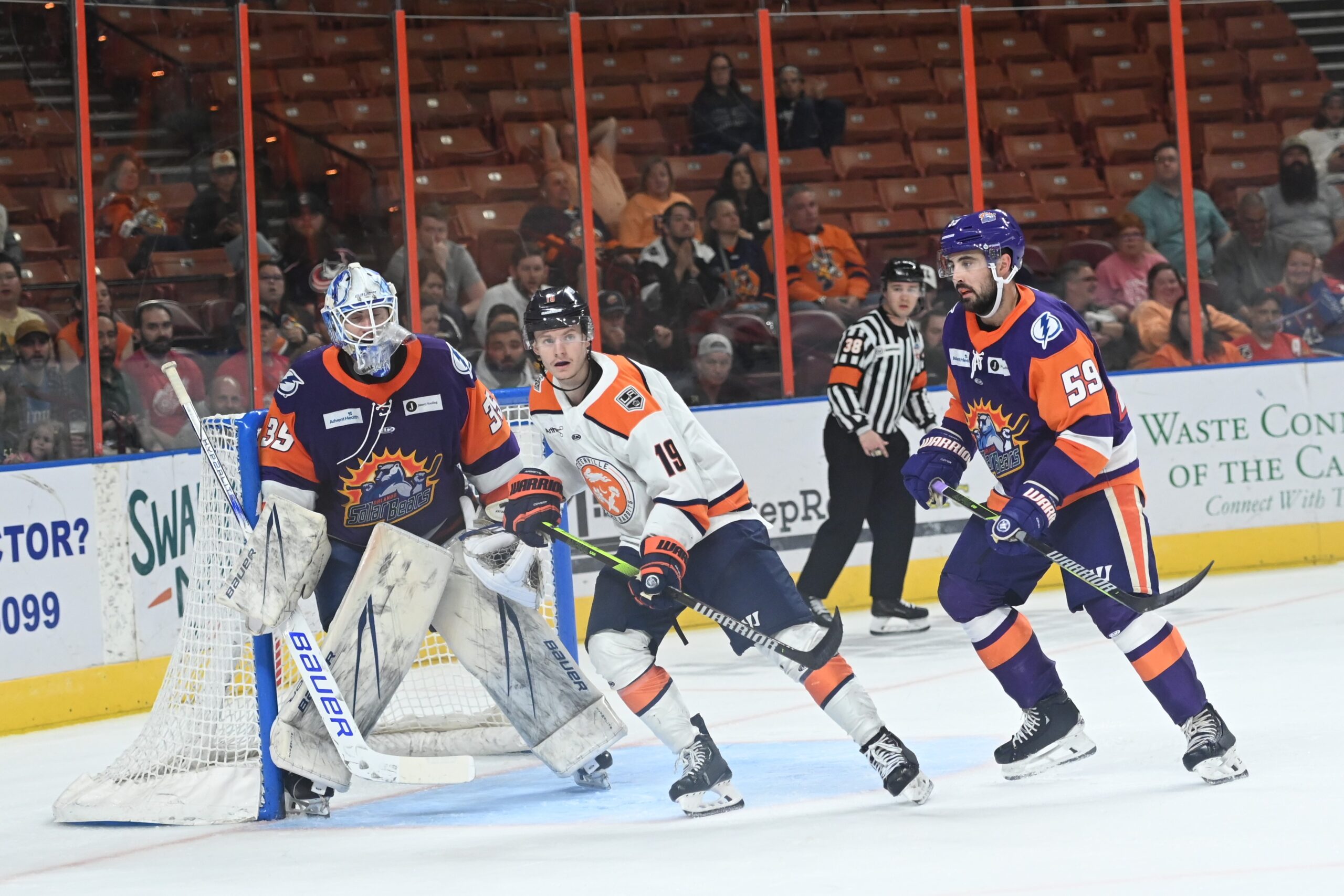 Swamp Rabbits