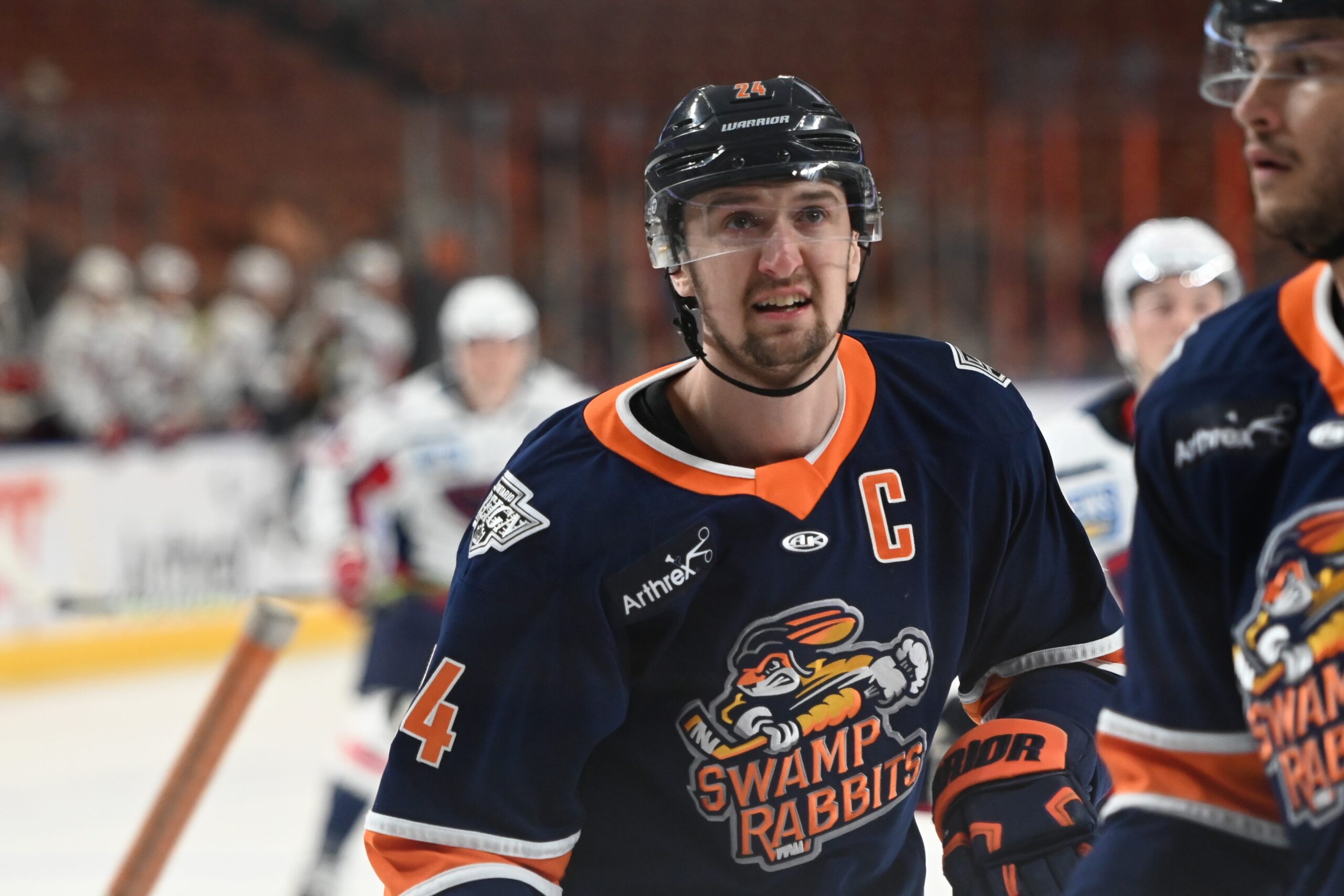 Swamp Rabbits Ben Freeman