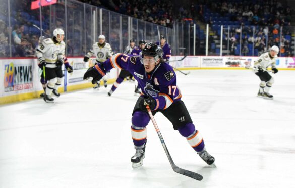 Tyson Fawcett Swamp Rabbits