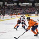 Greenville Swamp Rabbits