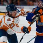Greenville Swamp Rabbits